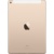 Apple iPad Air 2 Wi-Fi Cellular 16GB - фото 6