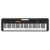 Casio CT-S100 - фото 1
