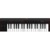 IK Multimedia iRig Keys 2 IP-IRIG-KEYS2-IN - фото 1