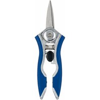 Green Apple GAYW06-078