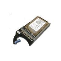 Ibm 43X0805 300 GB