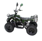 MINI Квадроцикл фото