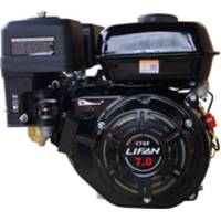 Lifan 170FM D19