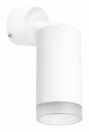 Lightstar Rullo RB43630 фото