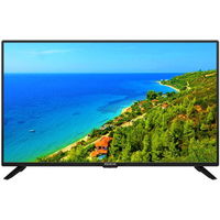 Polar PolarLine 43PL51STC-SM