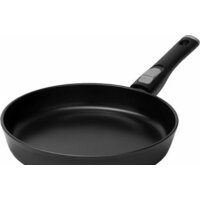 Redmond Black PF5508