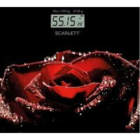 Scarlett SC-BS33E028