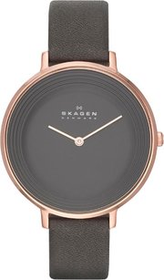 Skagen SKW2216 фото