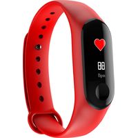 SmarTerra FitMaster Color