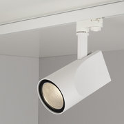 Elektrostandard 4690389111495 фото