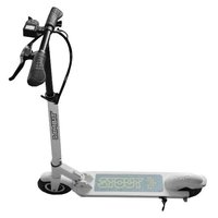 WELLNESS Sambit Stout